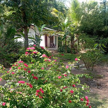Sanjana Home Stay Habarana Exterior photo