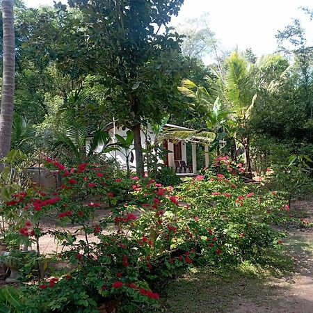 Sanjana Home Stay Habarana Exterior photo