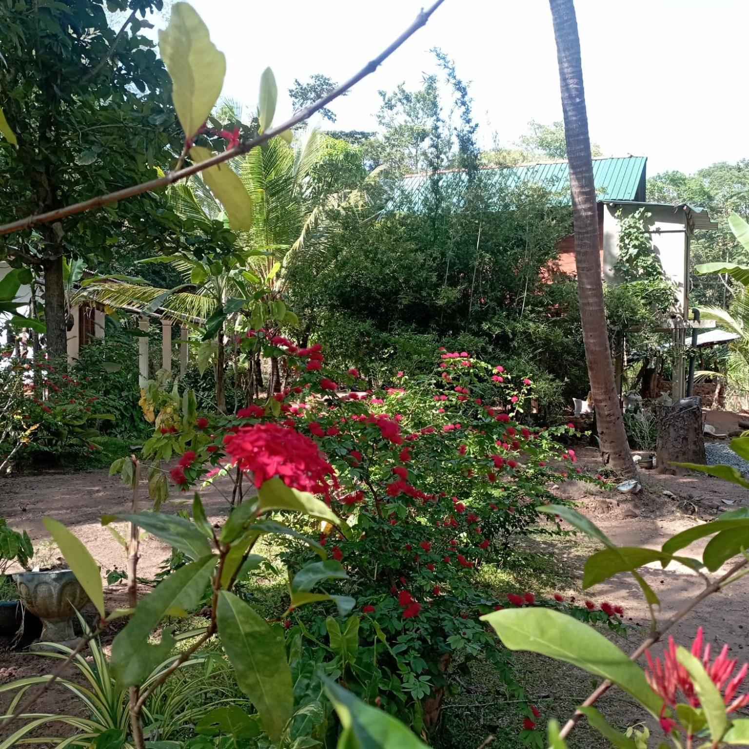 Sanjana Home Stay Habarana Exterior photo