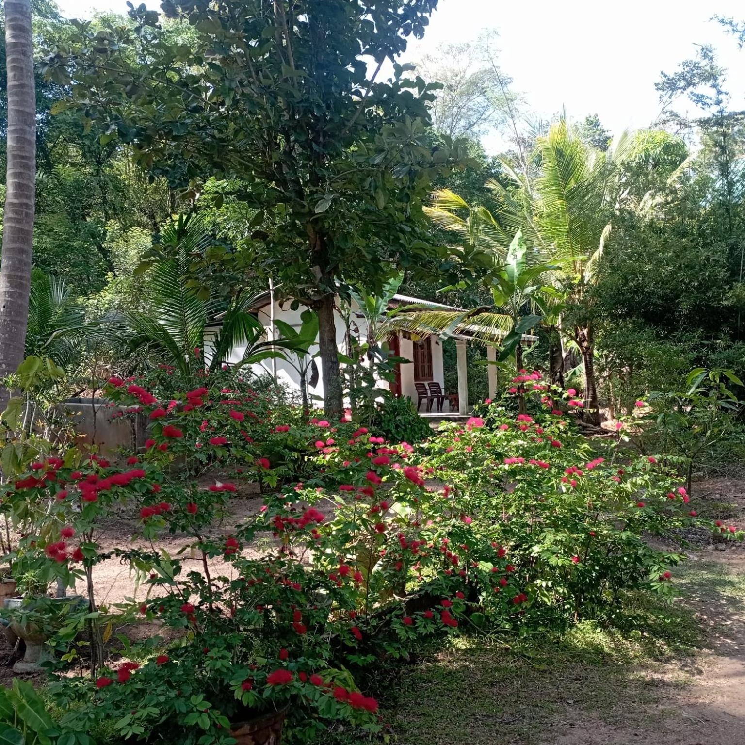 Sanjana Home Stay Habarana Exterior photo