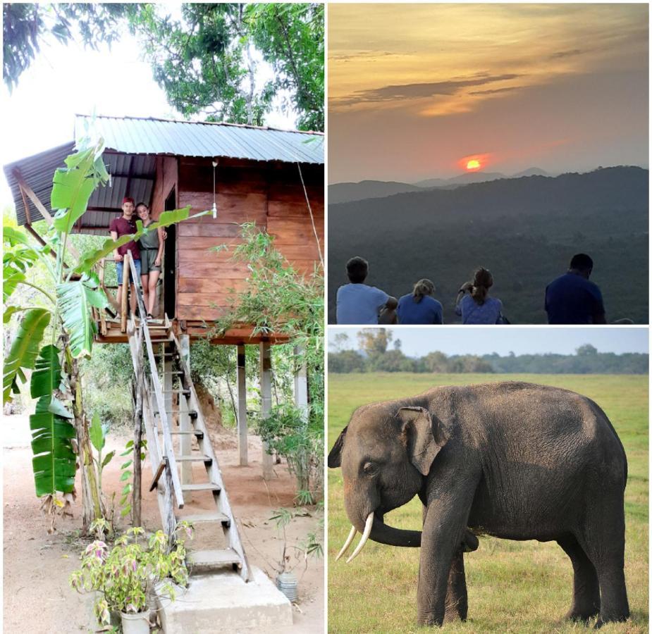 Sanjana Home Stay Habarana Exterior photo